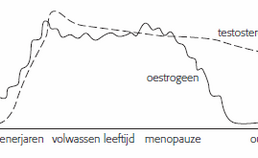 Oestrogeen en testosteron gedurende de levensloop bij vrouwen
