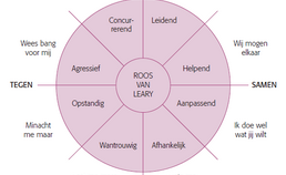 De roos van Leary